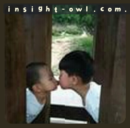 赵宇